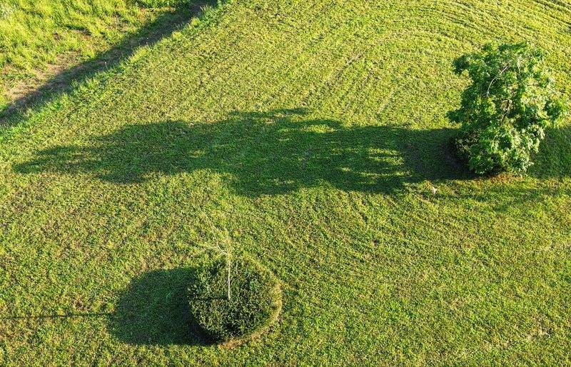 冬でも楽しめる庭の見せ方と植栽選び